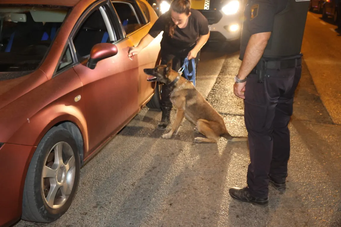 control policia local perro antidroga sant joan 2023 (6)