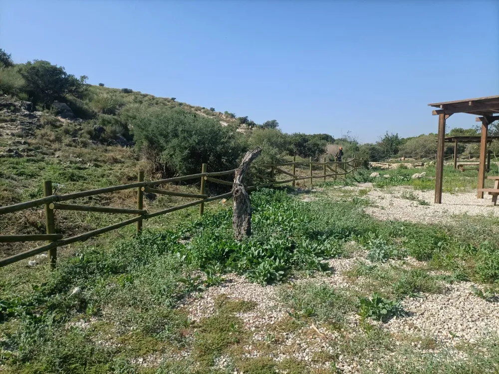 limpieza barrancos el campello 2023 b