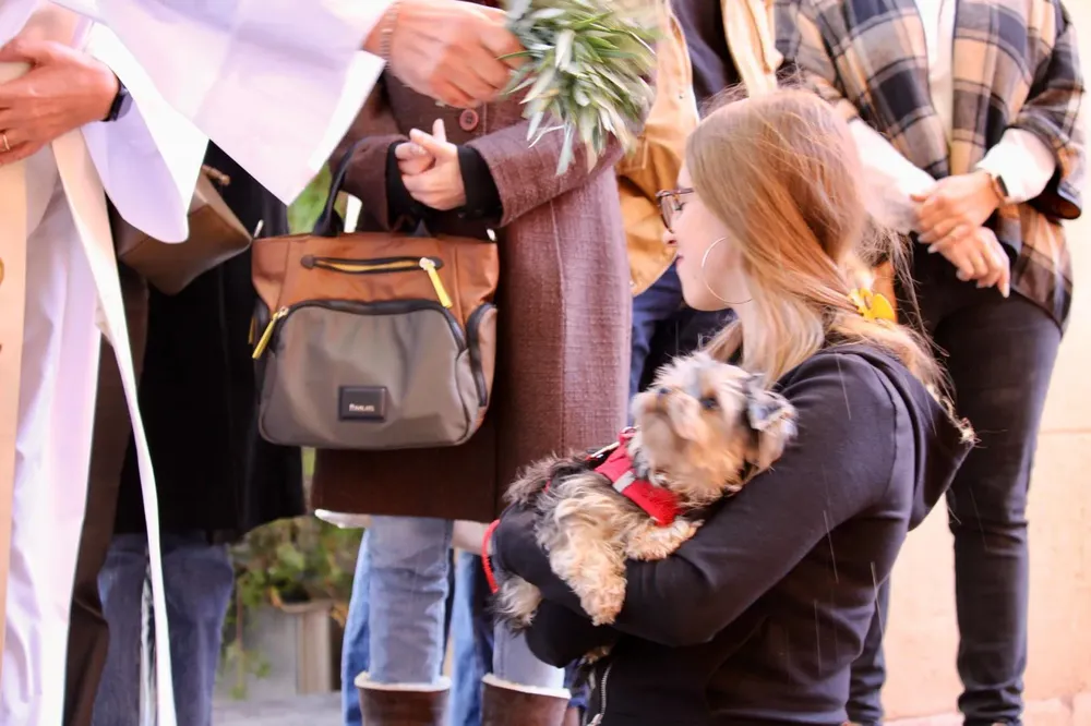 SAN ANTONIO CAMPELLO 2025 FOTO 4