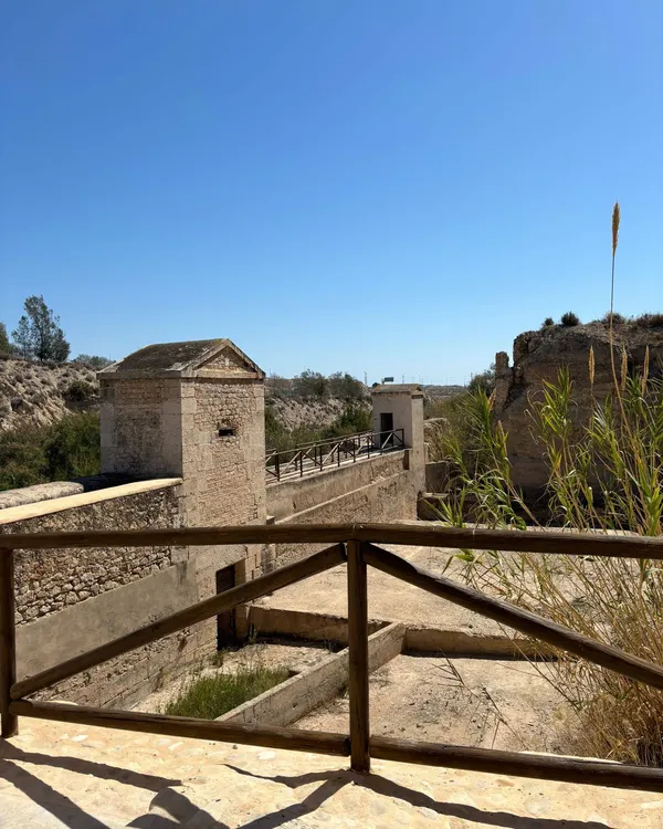 CENTRO DE INTERPRETACION LES FONTETES MUTXAMEL 2024