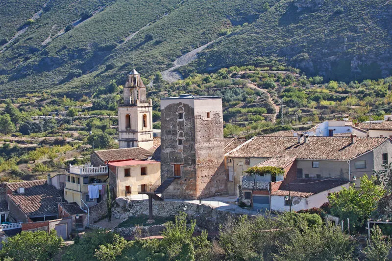 LA TORRE DE ALMUDAINA 2025