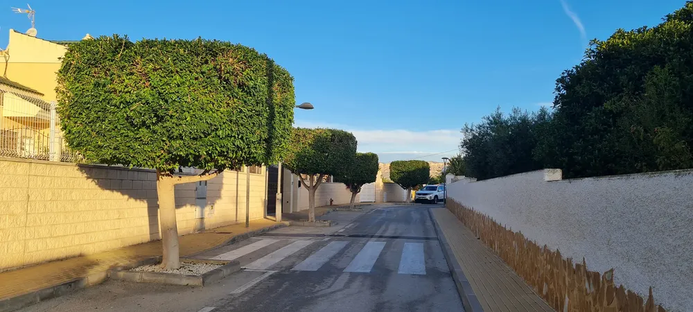 BUSOT CALLE CARRETERA 2023