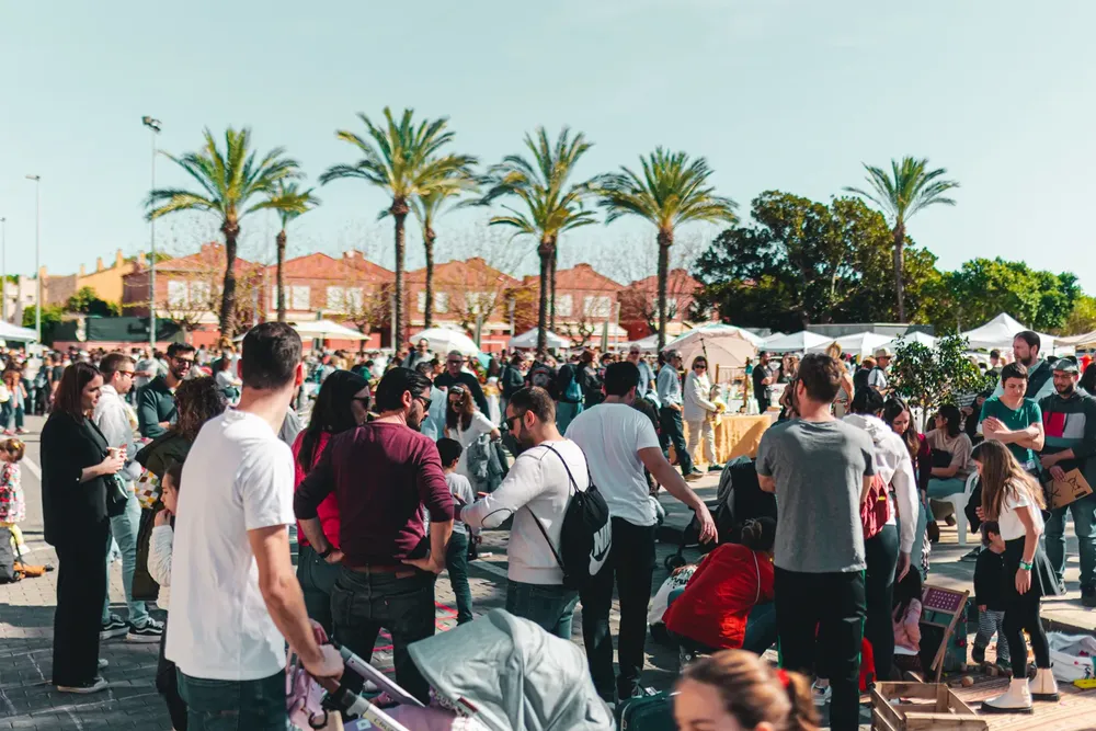 Cultura a la Plaza sant joan 2024