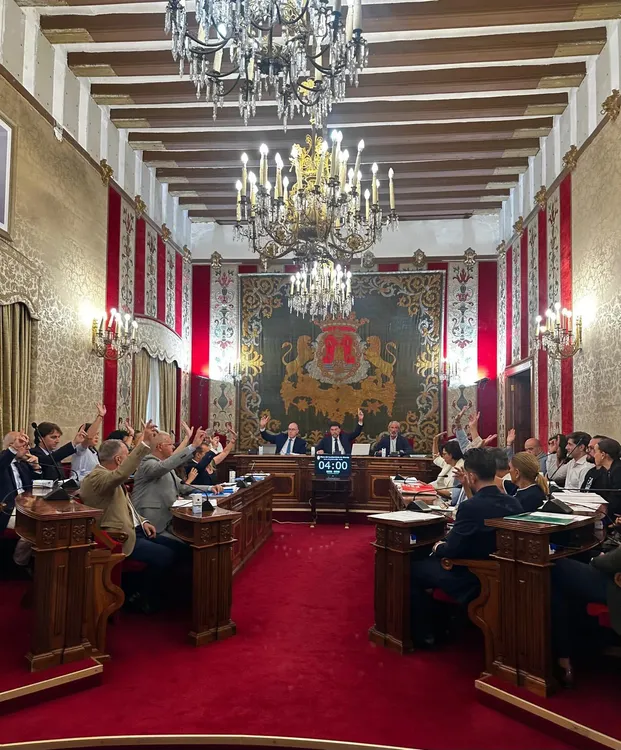 073026 Pleno del Ayuntamiento de Alicante en julio