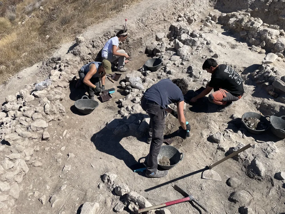 El Tabayá de Aspe excavacion arqueologica 2026