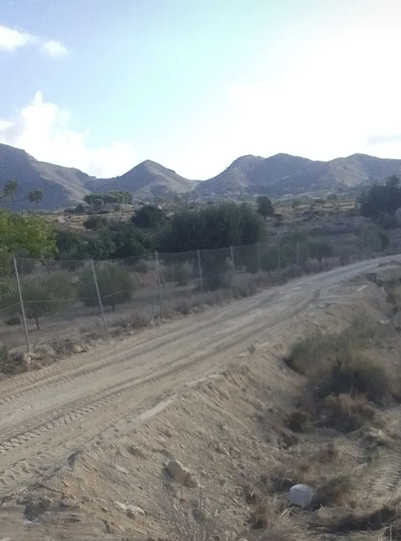 CAMINO DE LA PARTIDA DE LAS HUERTAS BUSOT 2026