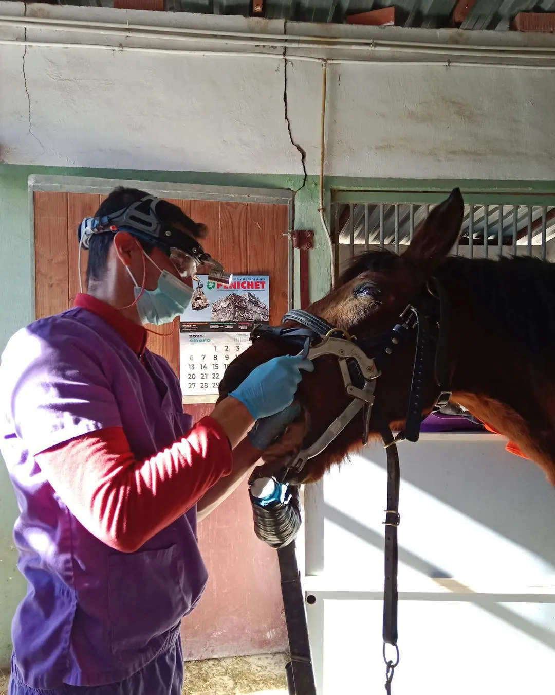 EQUITACC BUSOT 2025 FOTO 2