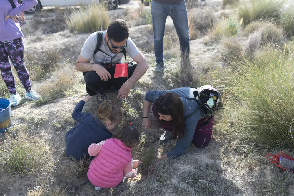 DIA DEL ARBOL XIXONA 2025