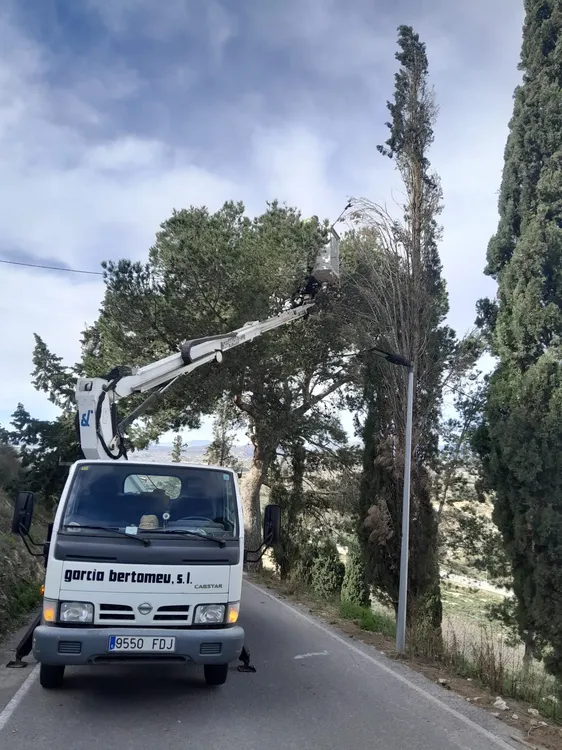 Busot actúa contra la procesionaria 2026