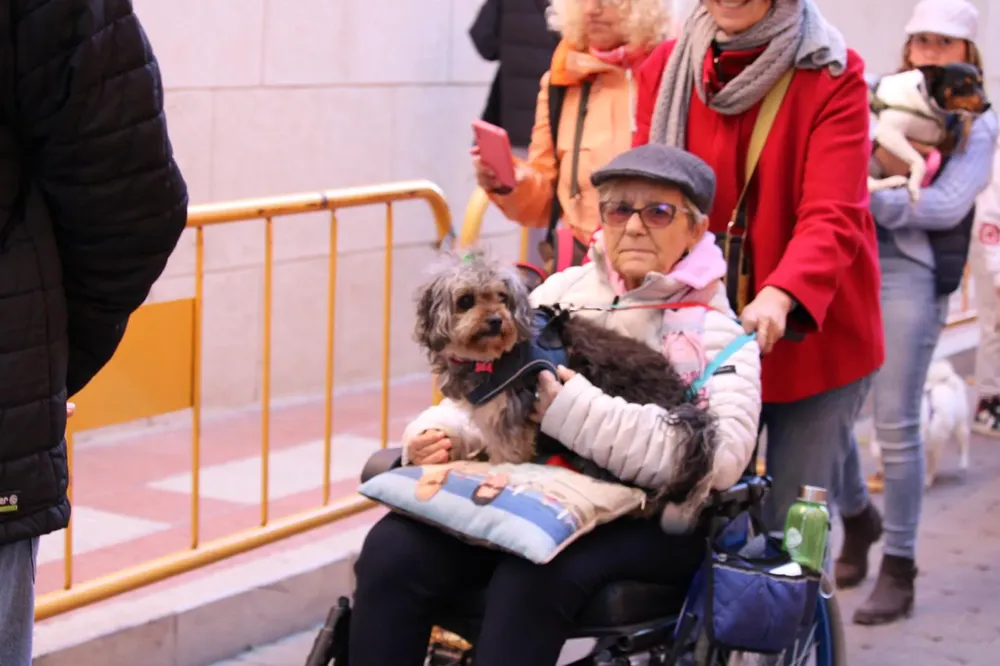 SAN ANTONIO CAMPELLO 2025 FOTO 3