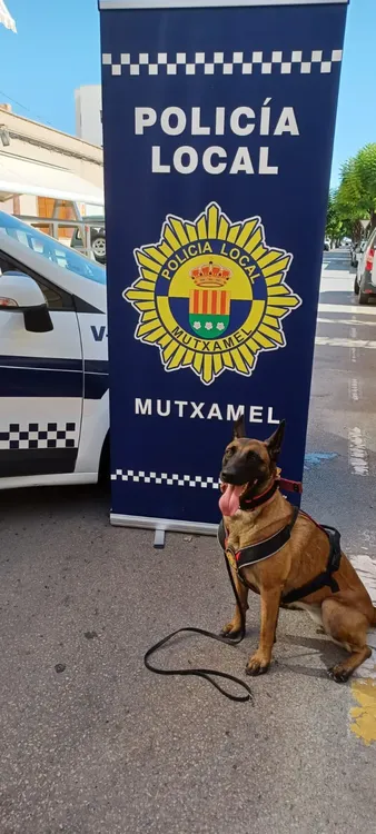 GUIA CANINO POLICIA MUTXAMEL