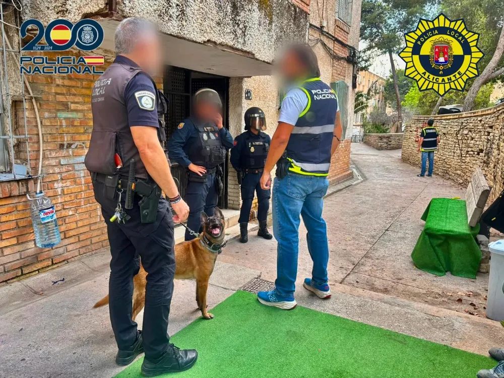 Operación antidroga en Zona Norte (2)