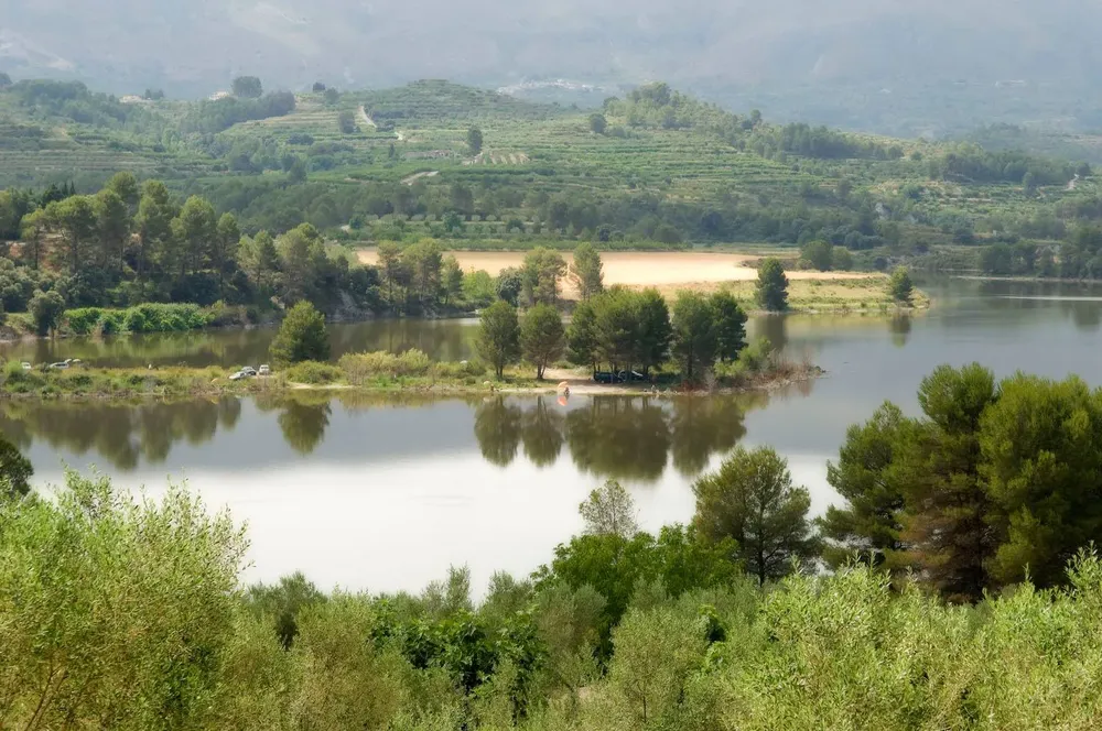 PAISAJE CAMPO ALICANTE 2024