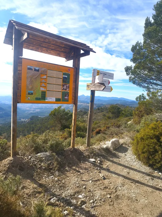 SEÑALIZACION SENDEROS XIXONA 2025