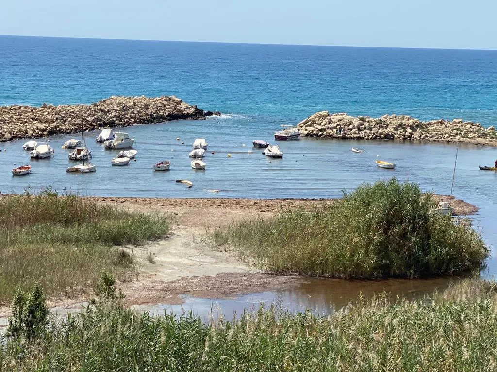 CALA BAEZA CAMPELLO 2020 AGOSTO 18