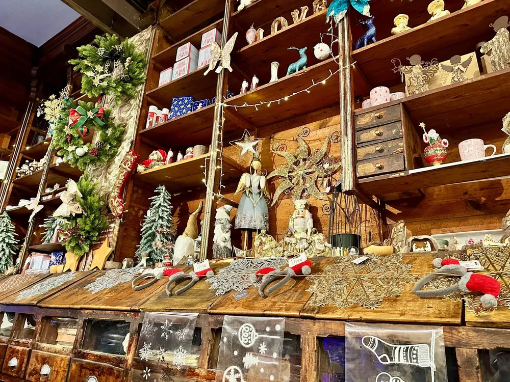 TIENDA DEL PI CAMPELLO 2