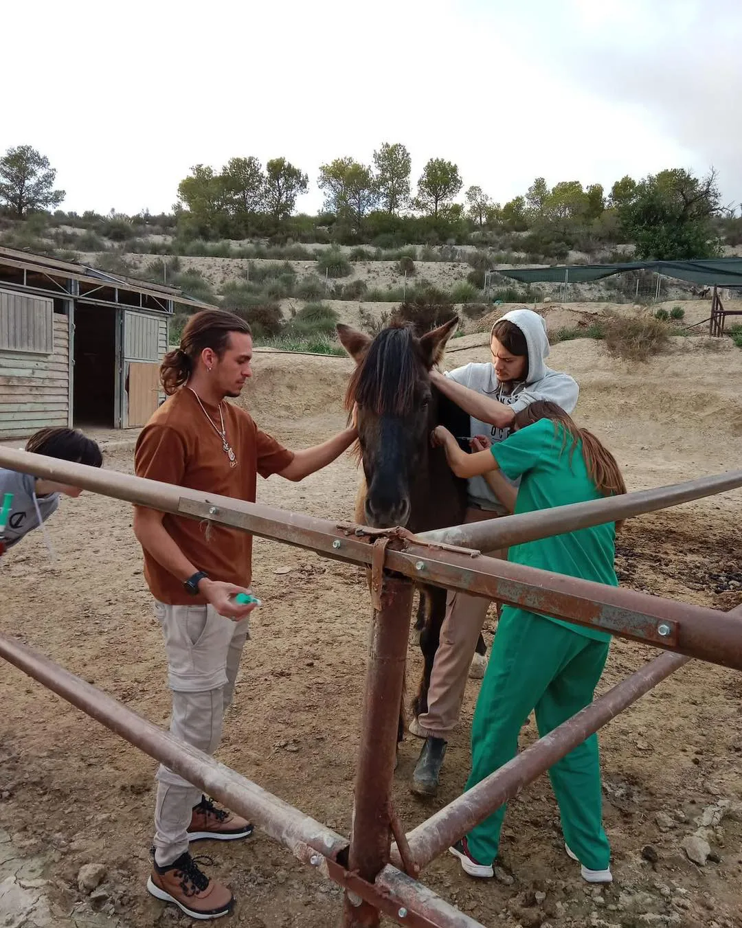 EQUITACC BUSOT 2025 FOTO 3