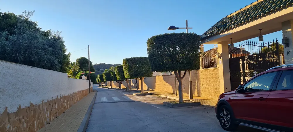 PODA ARBOLES BUSOT 2025