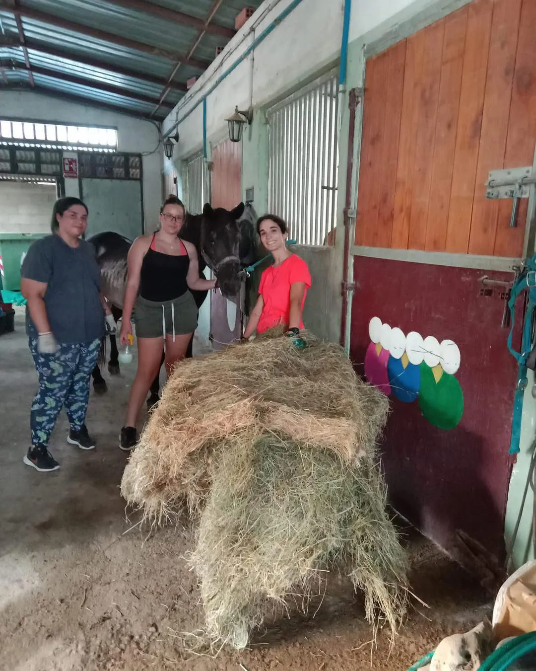 EQUITACC BUSOT 2025 FOTO 5