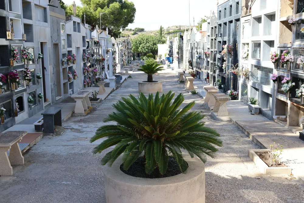 CEMENTERIO SAN JUAN 2024