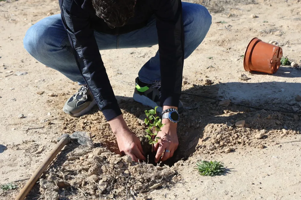 REPOBLACION SAN JUAN 2025 FOTO 3