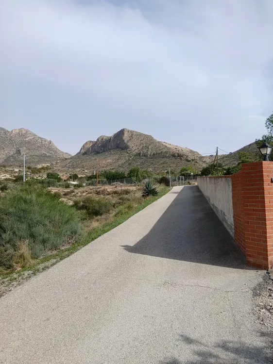 BUSOT PARTIDA EL RUNAL 2025