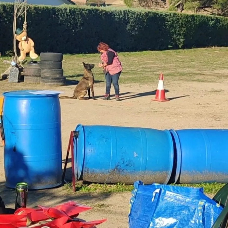 OBEDIENCIA CANINA PERRO 2025 FOTO 2
