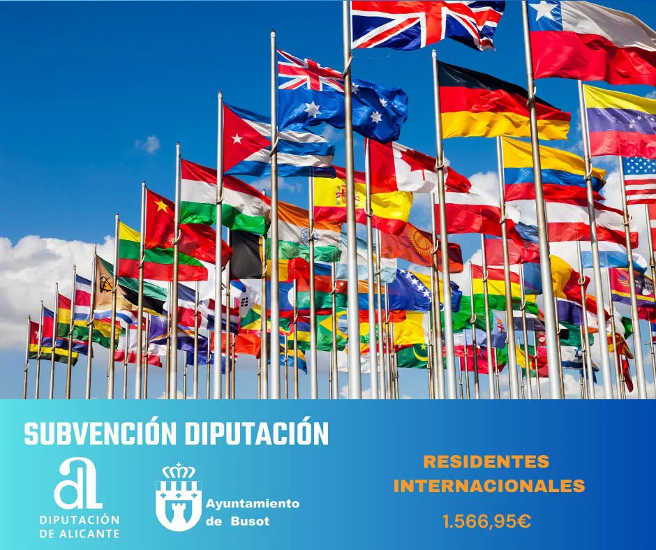SUBVENCION DIPUTACION RESIDENTES INTERNACIONALES BUSOT CARTEL