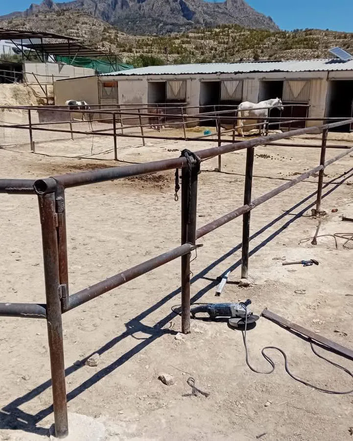 EQUITACC BUSOT 2025 FOTO 6