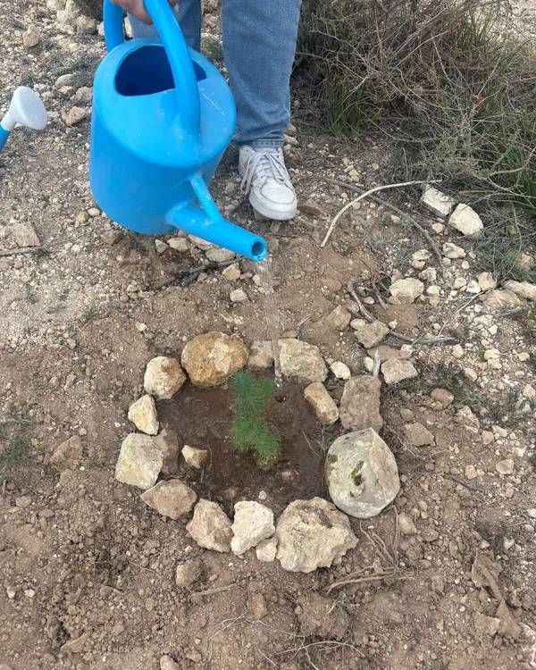 DIA DEL ARBOL MUTXAMEL 2025 FOTO 2