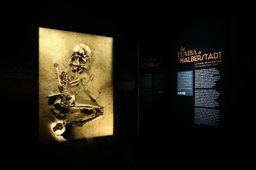 MARQ EXPOSICION DINASTIAS 2024