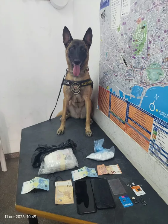 PERRA KATA POLICIA ALICANTE DROGA 2026