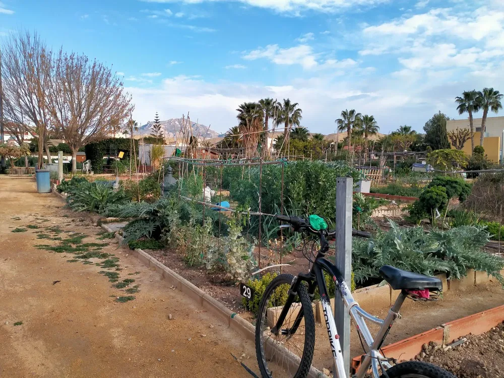 huerto urbano campe.lo