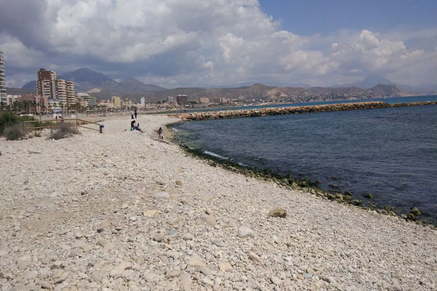 PALAS ARENALES DE EL CAMPELLO (2)