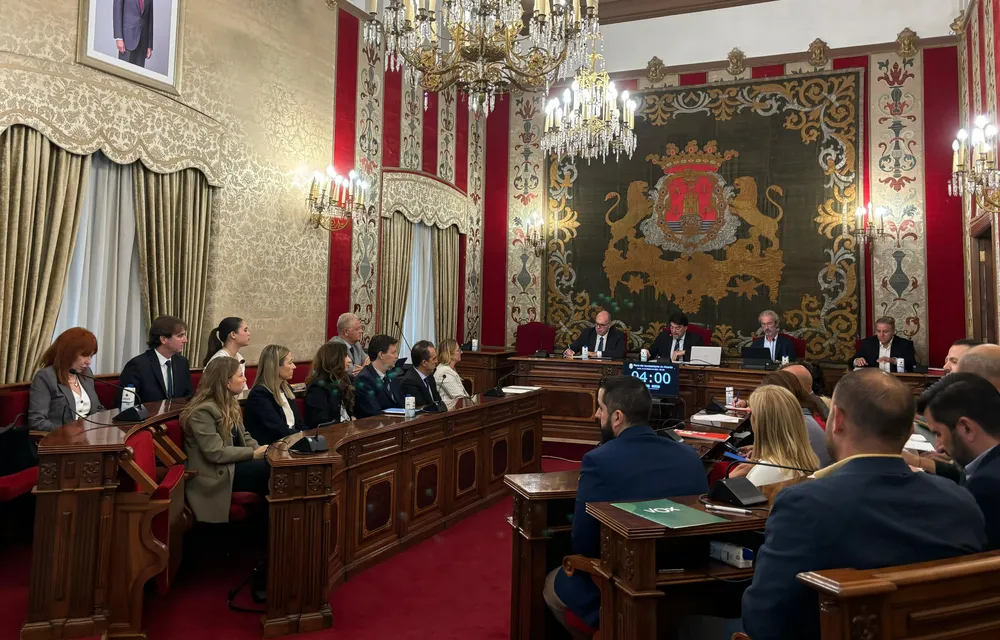 PLENO AYUNTAMIENTO DE ALICANTE (2)