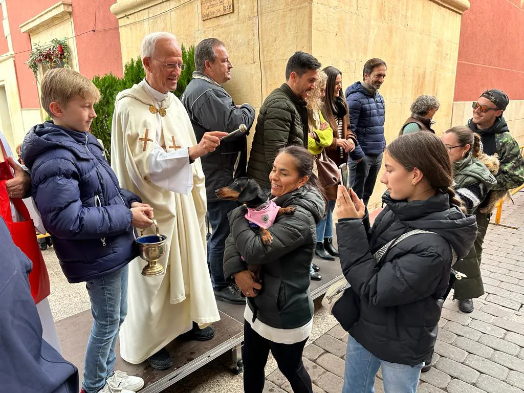 BENDICION SANT ANTONI CAMPELLO CONCEJAL CRISTIAN PALOMARES 2024