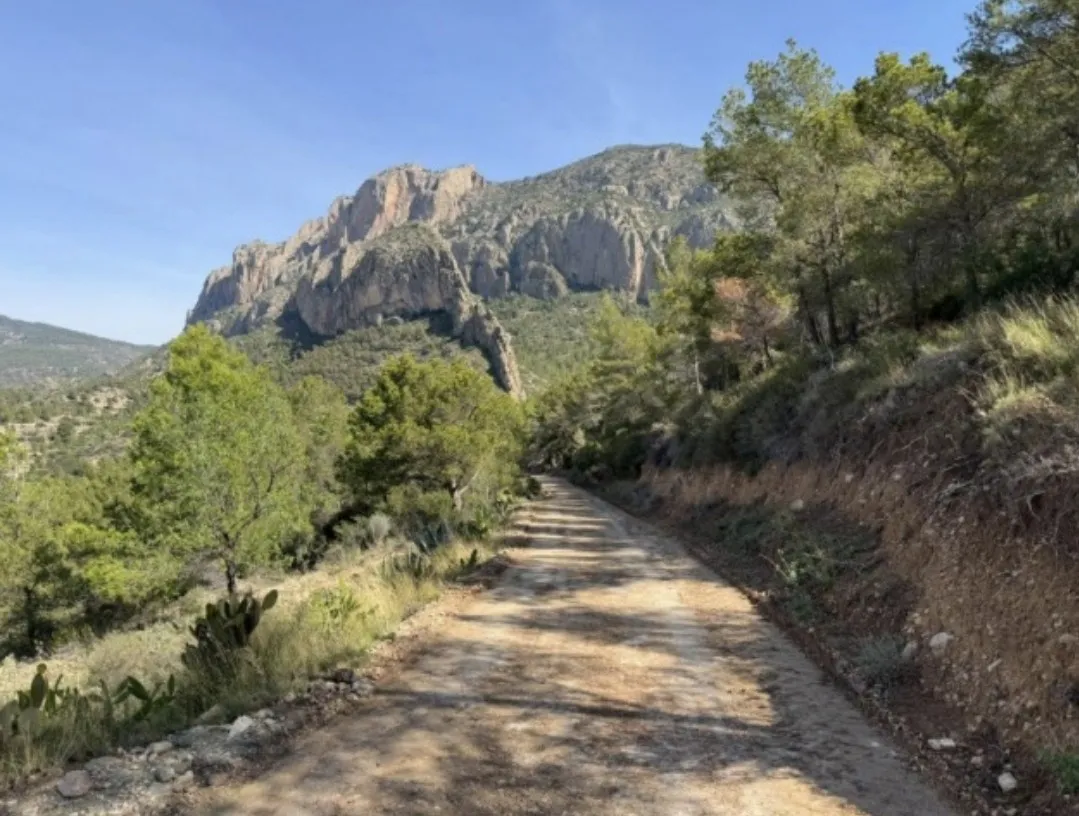 BUSOT MONTAÑA CABEÇO D´OR 2025