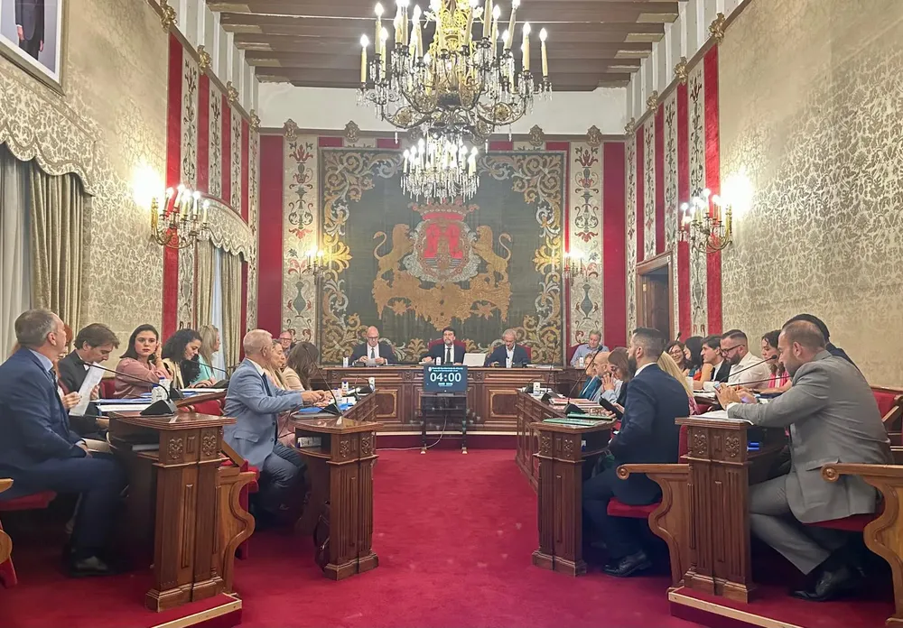 PLENO ALICANTE 2025