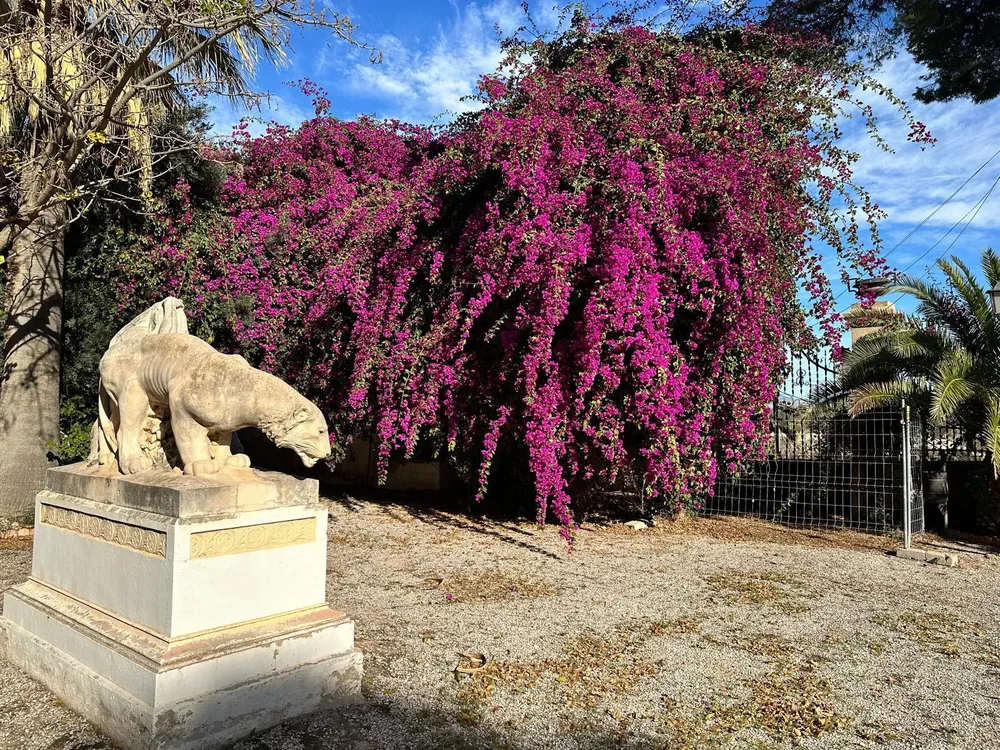 FINCA VILLA MARCO CAMPELLO 2025