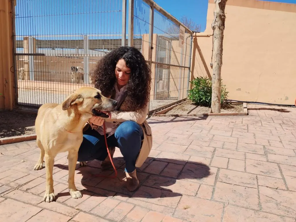 CRISTINA CUTANDA CONCEJALA DE SANIDAD ALICANTE 2024