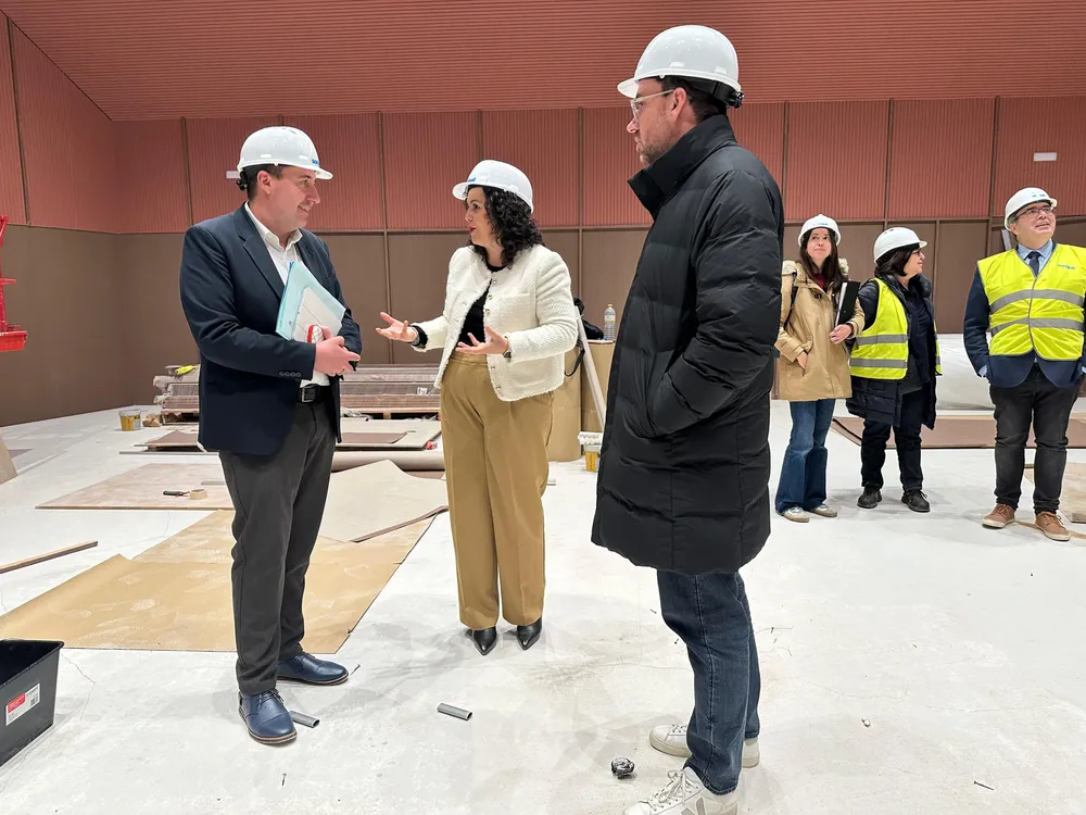 VISITA SAX DIPUTACION 2025