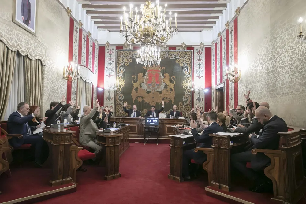 PLENO ALICANTE NOVIEMBRE 2025