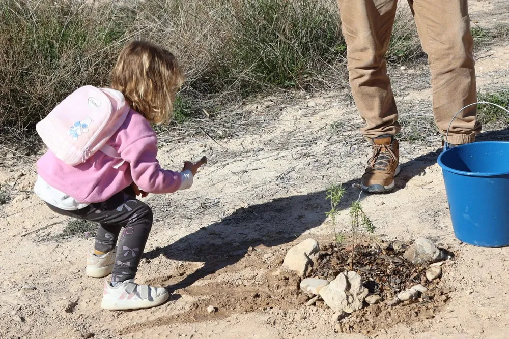 REPOBLACION SAN JUAN 2025