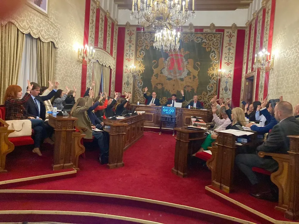 PLENO ALICANTE NOVIEMBRE 2024