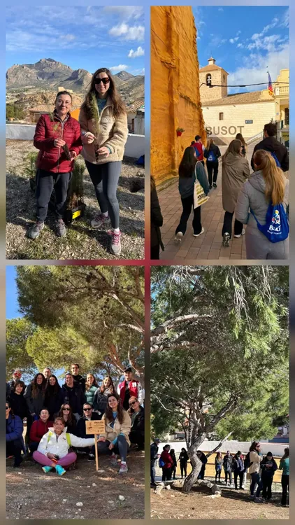 PLANTACION 75 PINOS EN EL CALVARIO BUSOT 2026