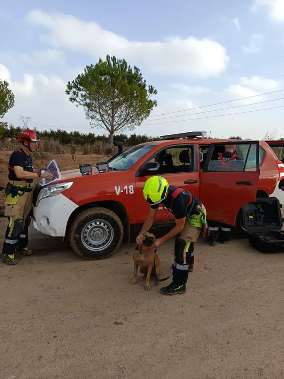 BOMBEROS ALICANTE EN VALENCIA DANA 2024 PERRO POLICIA