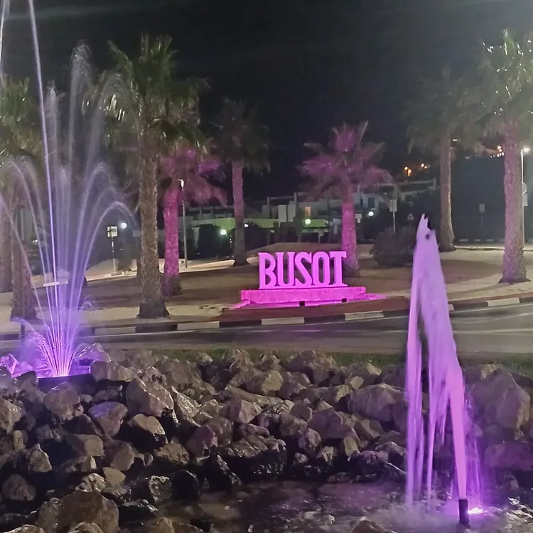 BUSOT DIA INTERNACIONAL DEL CANCER DE MAMA 2025