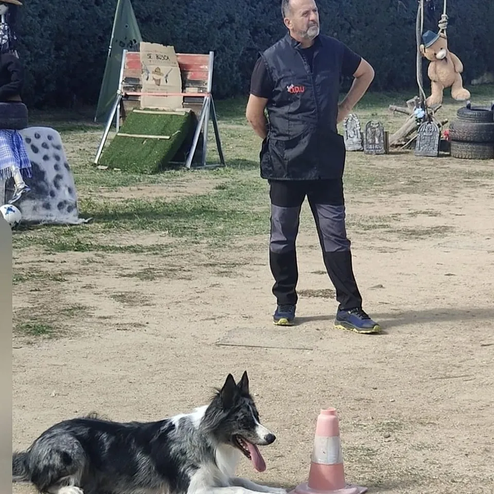 OBEDIENCIA CANINA PERRO 2025