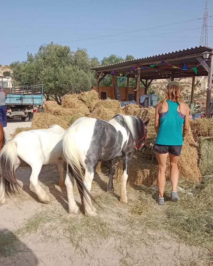 EQUITACC BUSOT 2025 FOTO 4