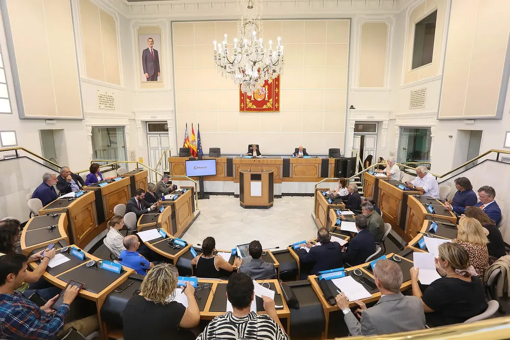 CONSEJO ECONOMICO Y SOCIAL DIPUTACION ALICANTE 2025